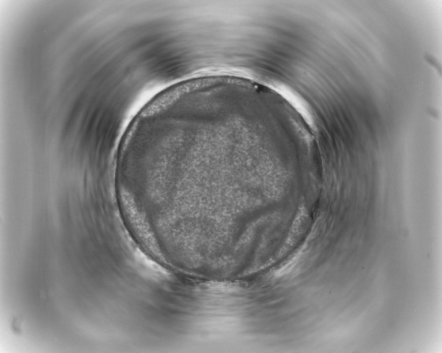 X0000093171102200710241035