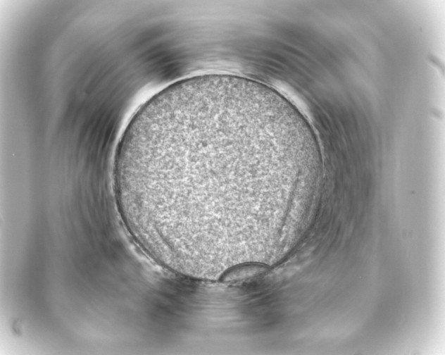 X0000093171104200710241035