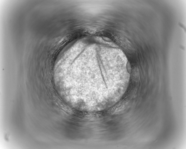 X0000093171105200710241034