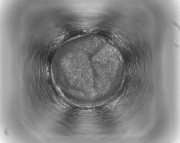 X0000093171106200710241034