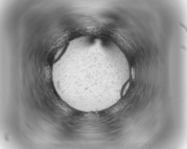 X0000093171107200710241034