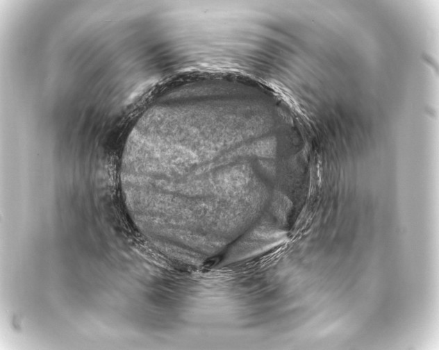 X0000093171110200710241034