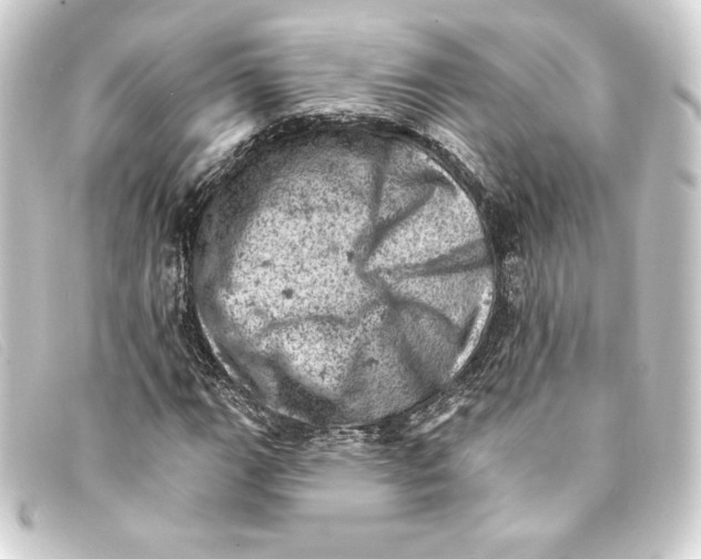 X0000093171111200710241034