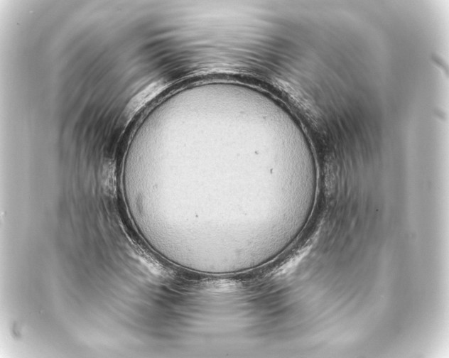 X0000093171113200710241034