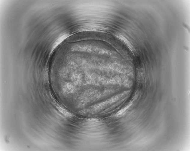 X0000093171114200710241034