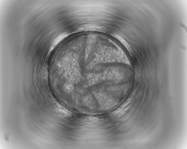 X0000093171115200710241034