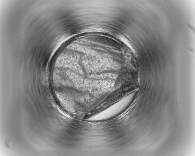 X0000093171116200710241034