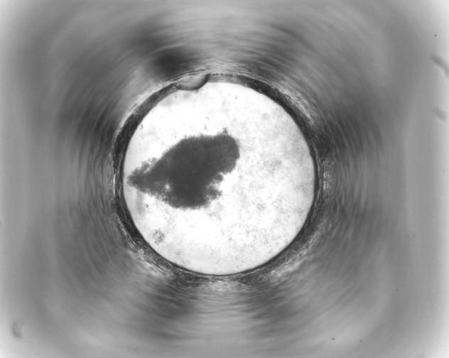 X0000093171117200710241034