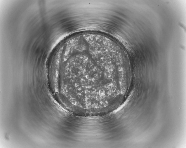 X0000093171118200710241034