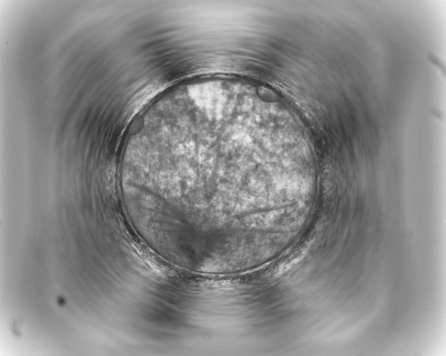 X0000093171121200710241034