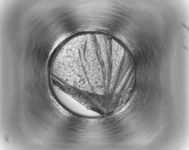 X0000093171122200710241034