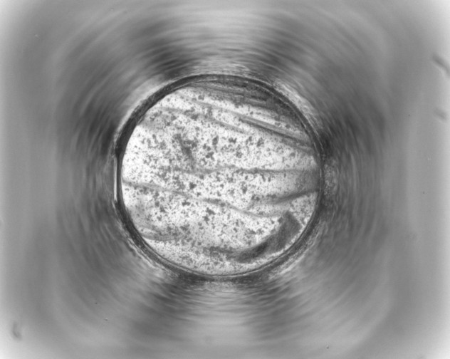 X0000093171123200710241034