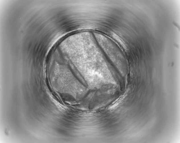 X0000093171124200710241034