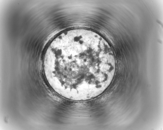 X0000093171125200710241034