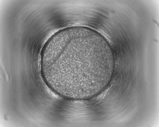 X0000093171126200710241034