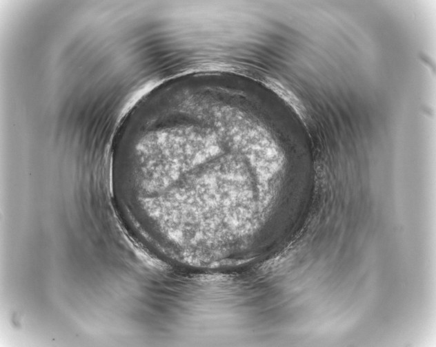 X0000093171127200710241034