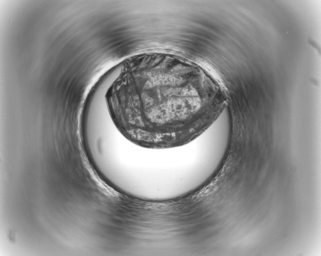 X0000093171128200710241034