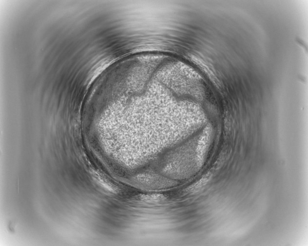 X0000093171129200710241034