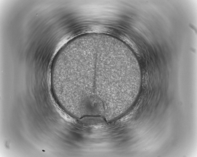 X0000093171130200710241034