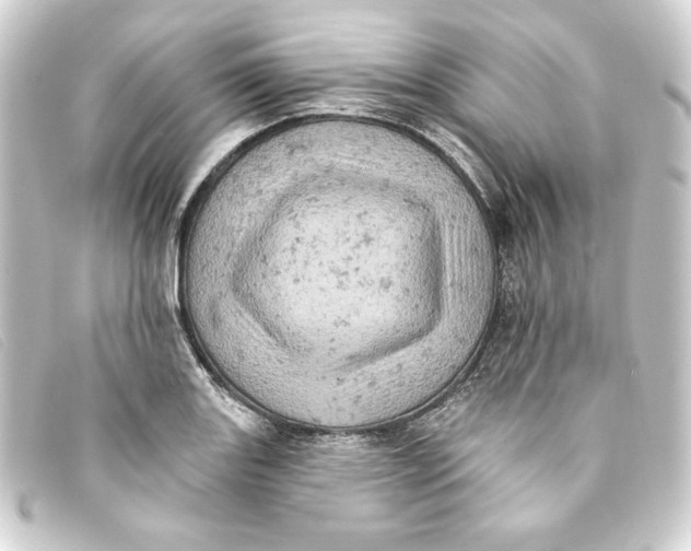 X0000093171131200710241034