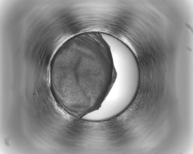 X0000093171132200710241034