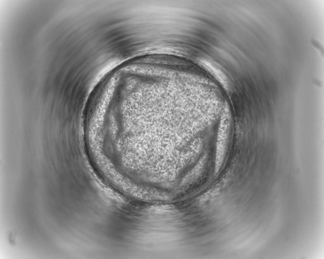 X0000093171133200710241034