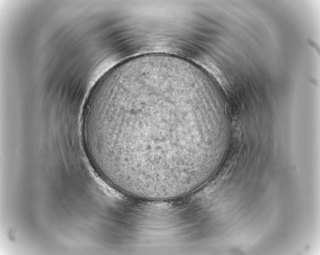 X0000093171135200710241034