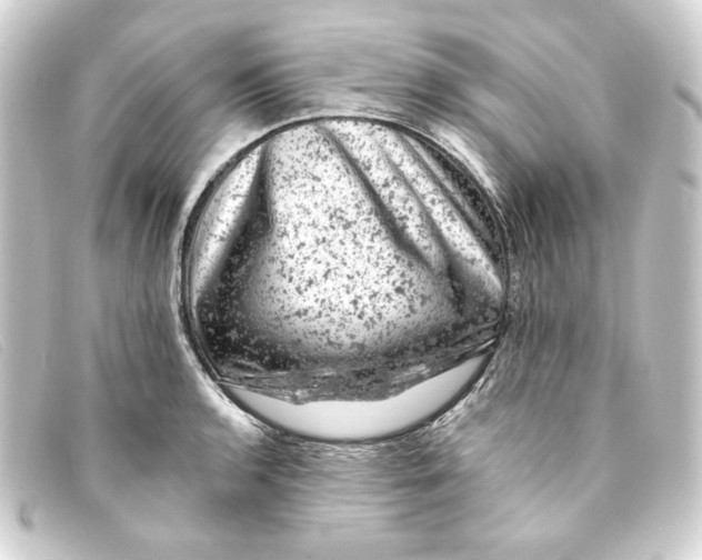 X0000093171136200710241034