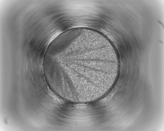 X0000093171137200710241034