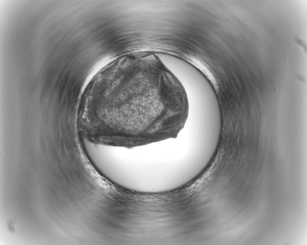 X0000093171138200710241034