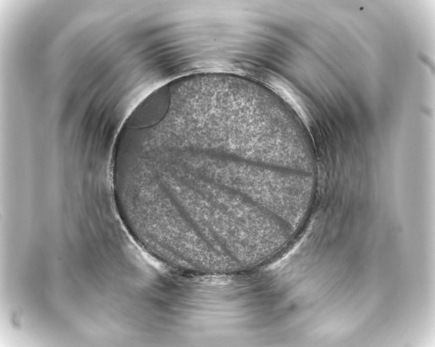 X0000093171141200710241034