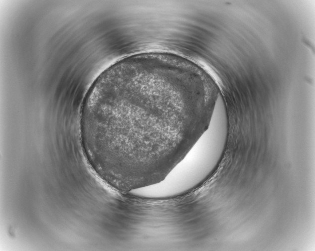 X0000093171142200710241034