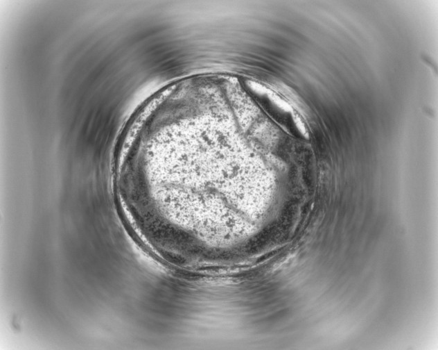 X0000093171143200710241034