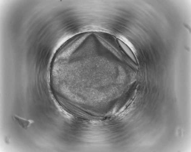 X0000093171144200710241034