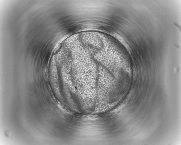 X0000093171145200710241034