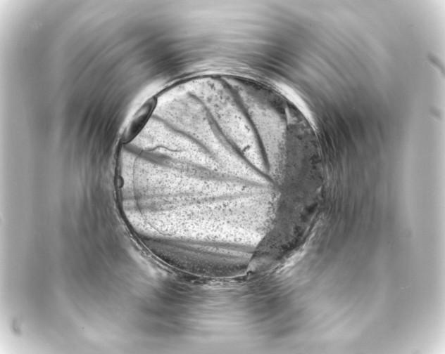 X0000093171146200710241035