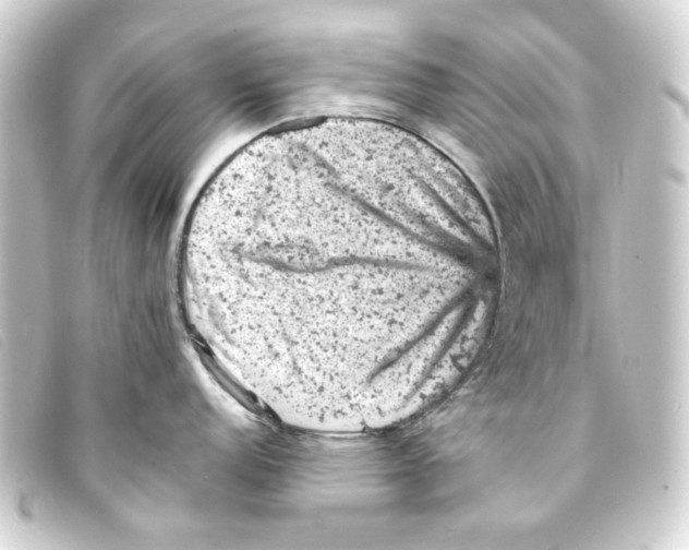 X0000093171152200710241035