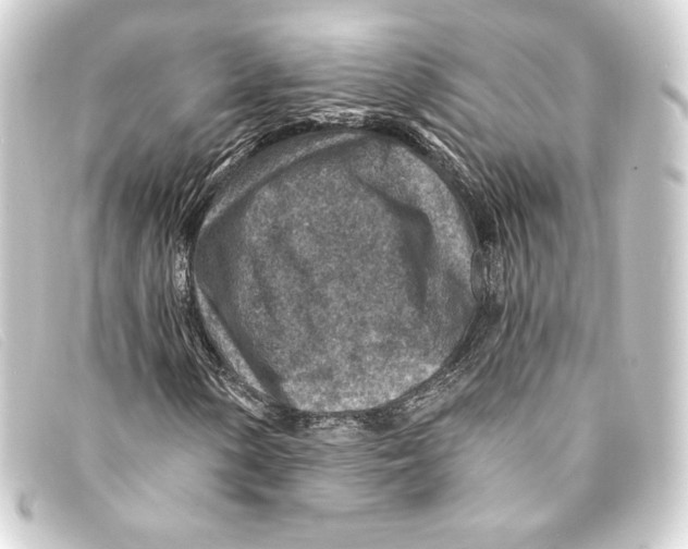 X0000093171154200710241034