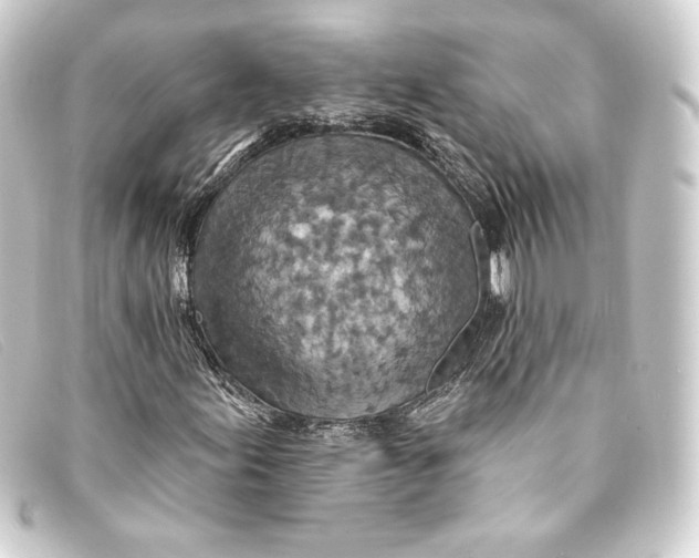 X0000093171155200710241034