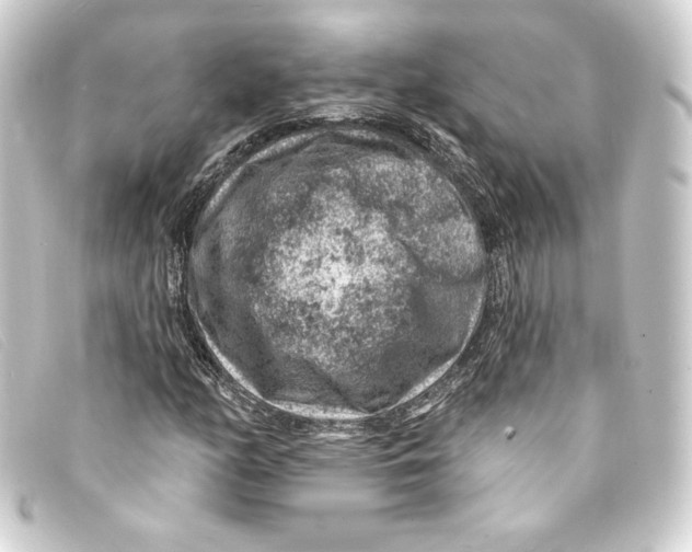 X0000093171158200710241034