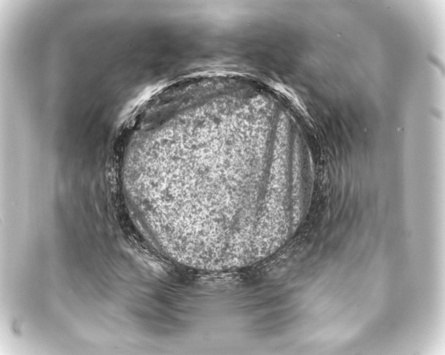 X0000093171159200710241034