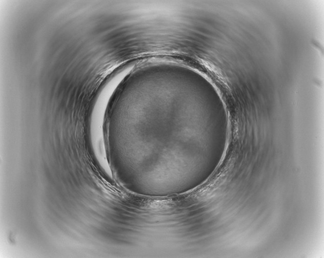 X0000093171161200710241034