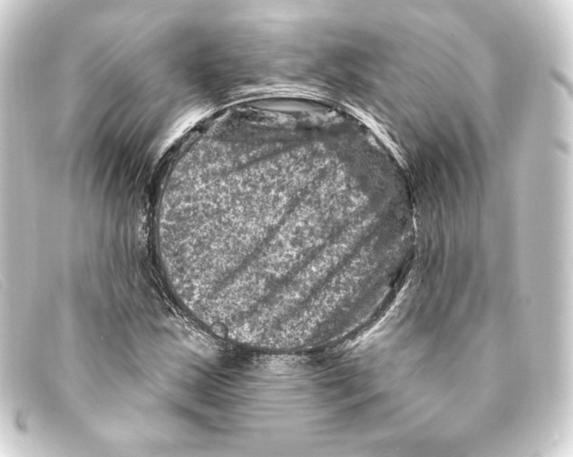 X0000093171163200710241034