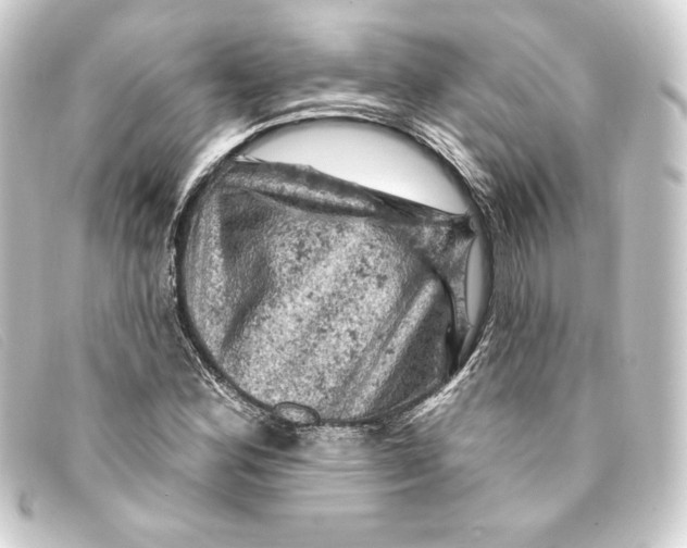 X0000093171164200710241034