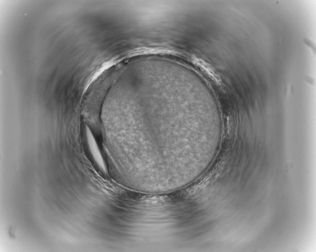 X0000093171165200710241034