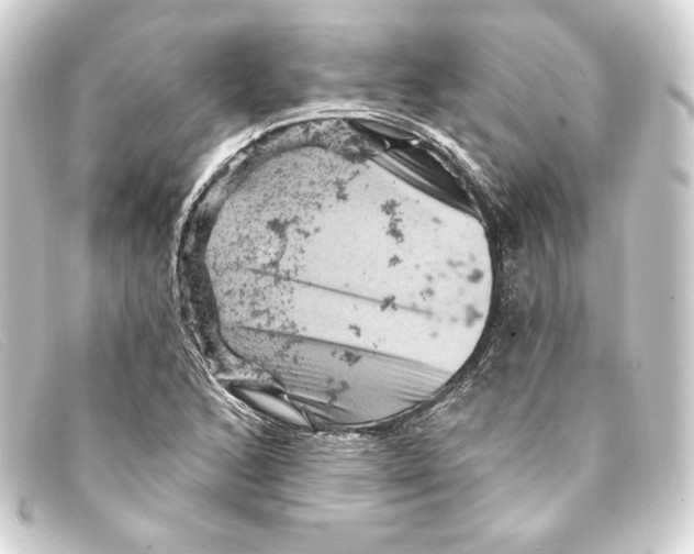 X0000093171168200710241034