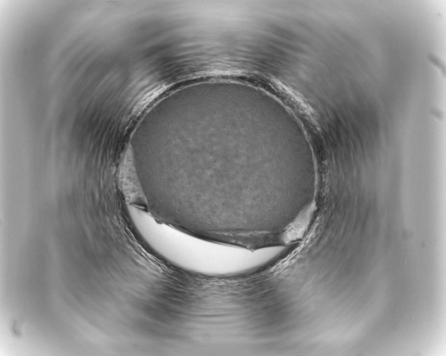 X0000093171169200710241034