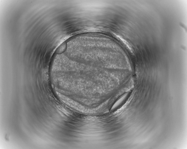 X0000093171170200710241034