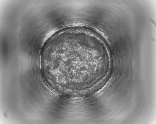 X0000093171171200710241034