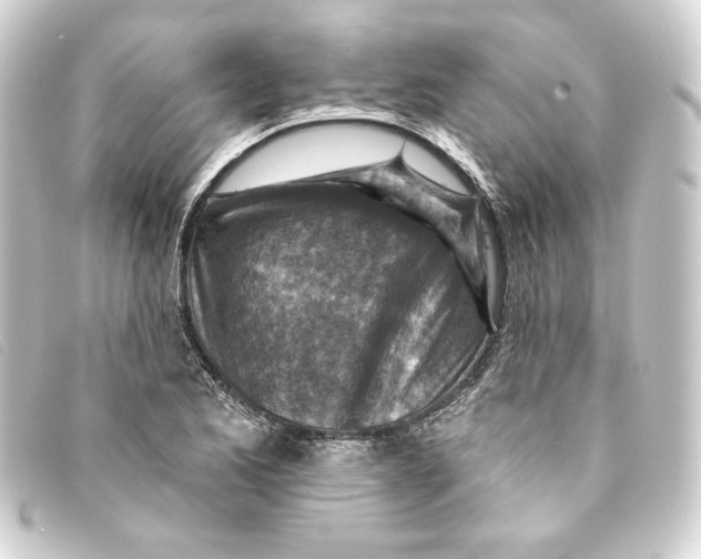 X0000093171173200710241034